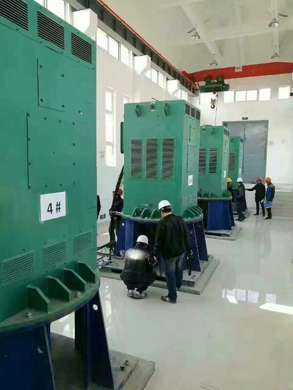 临朐某污水处理厂使用我厂的立式高压电机安装现场